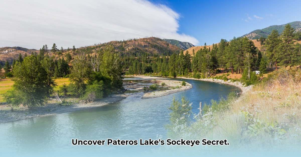 lake-pateros-wa